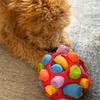 Sniff N' Treat Puzzle Ball (Feeds 50 Dogs)