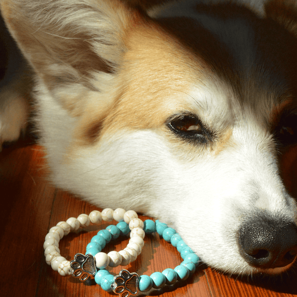 I Love ALL Dogs Bracelet™