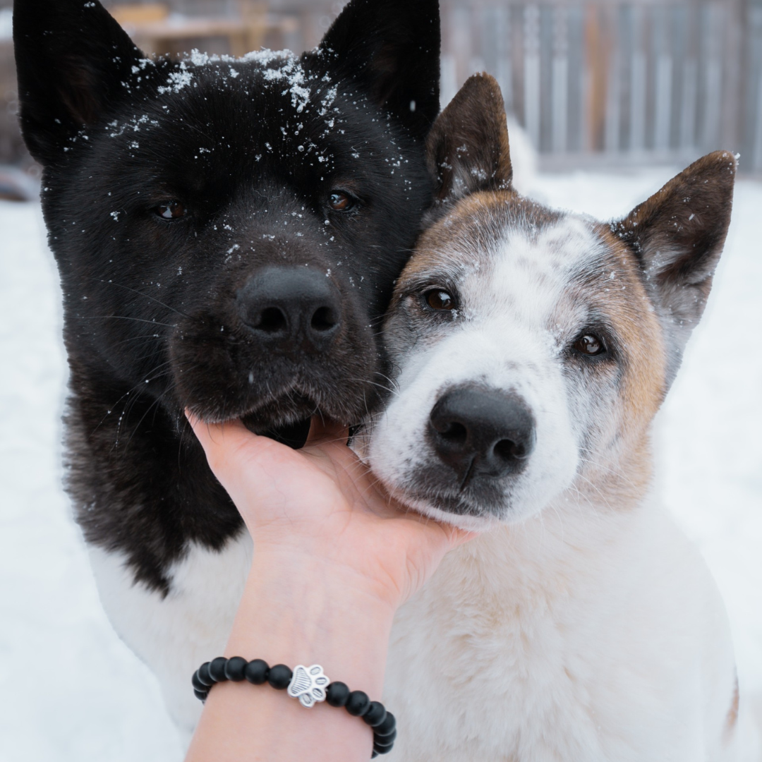 I Love ALL Dogs Bracelet™