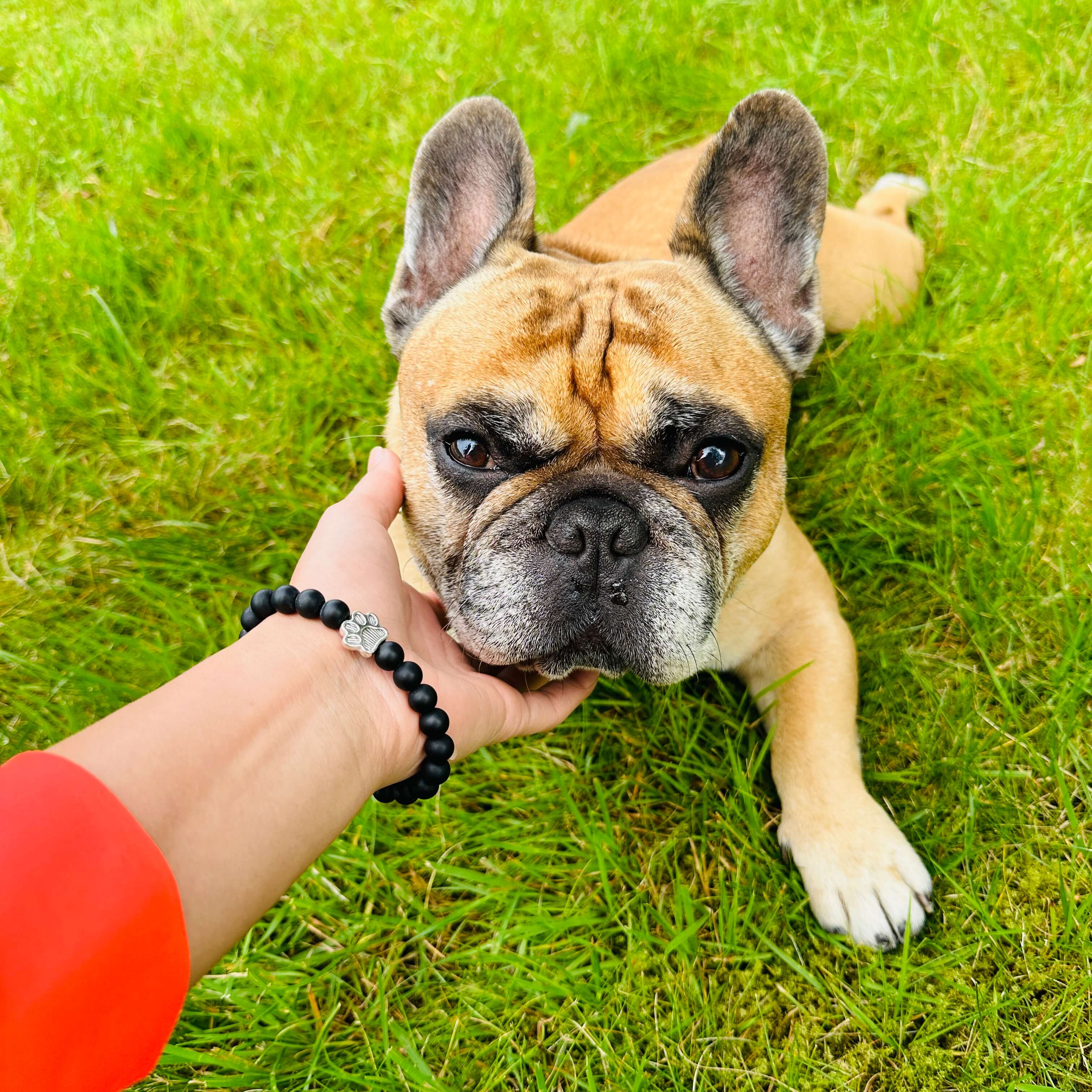 I Love ALL Dogs Bracelet™ (1 Bracelet = 5 Meals)