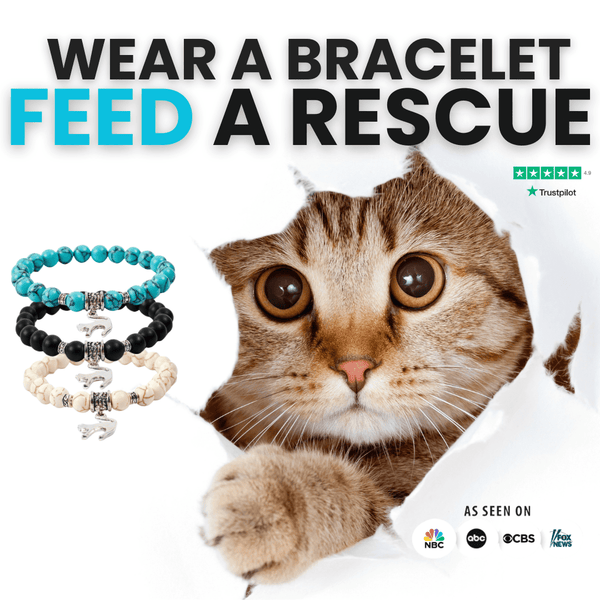 I Love Cats Bracelet™