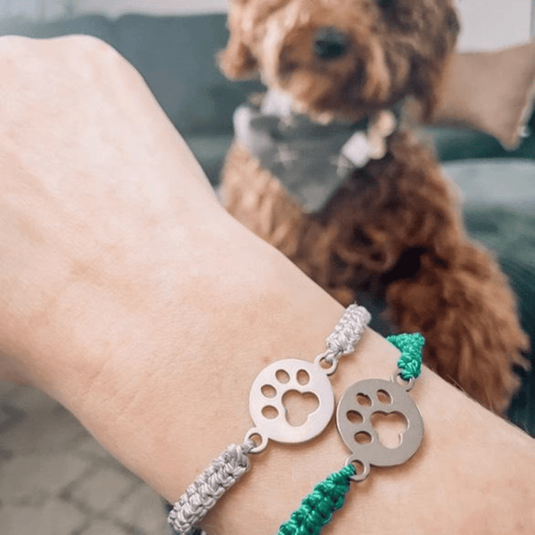 Paws For Hope Bracelet