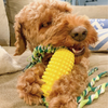 Chewy Corn Dog Toy (Feeds 40 Dogs)