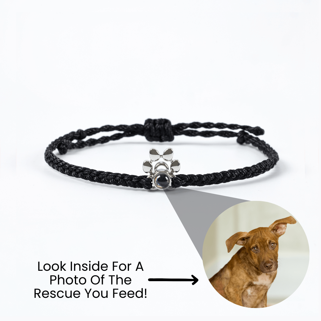 The Halo Bracelet