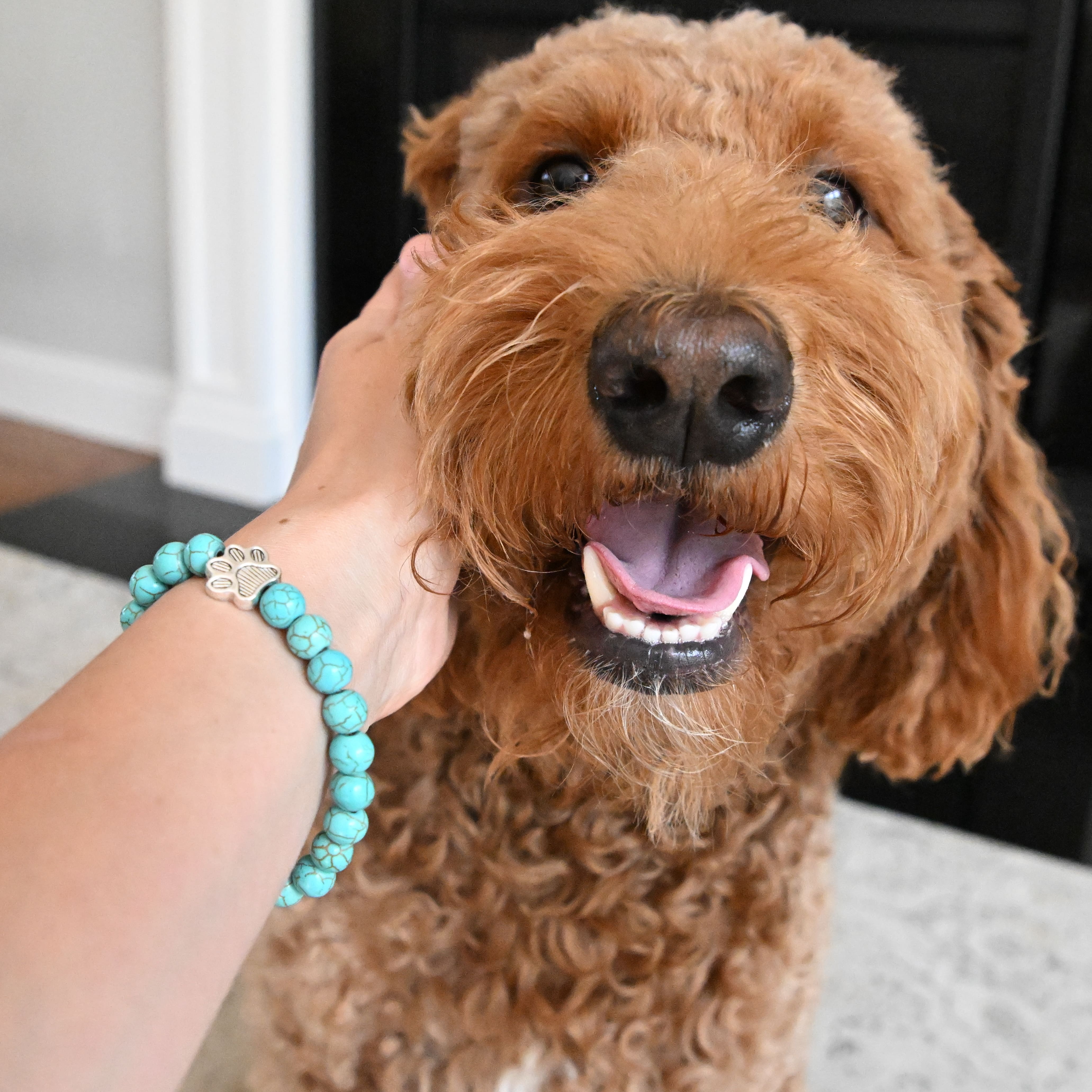 I Love ALL Dogs Bracelet™ (1 Bracelet = 5 Meals)