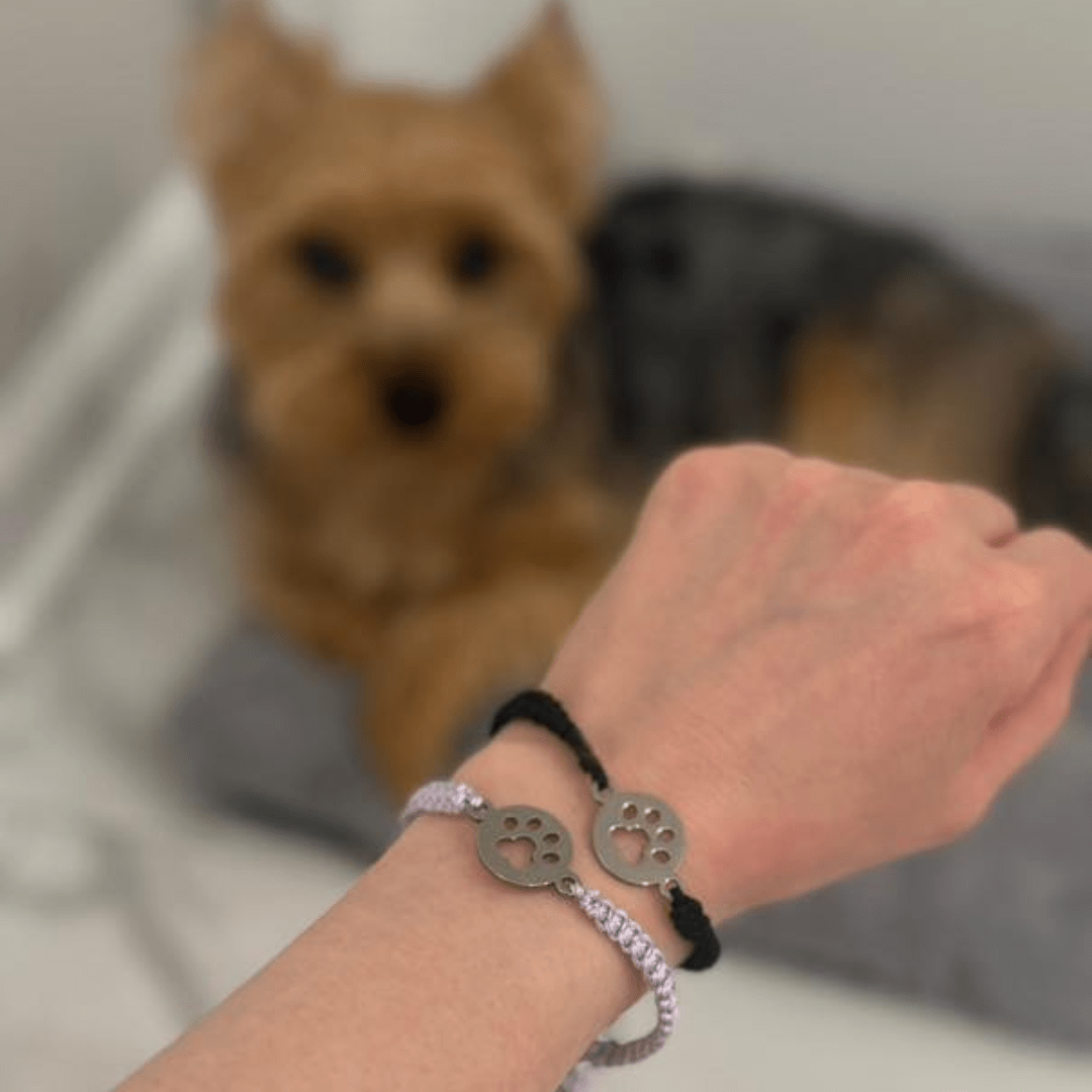Paws For Hope Bracelet