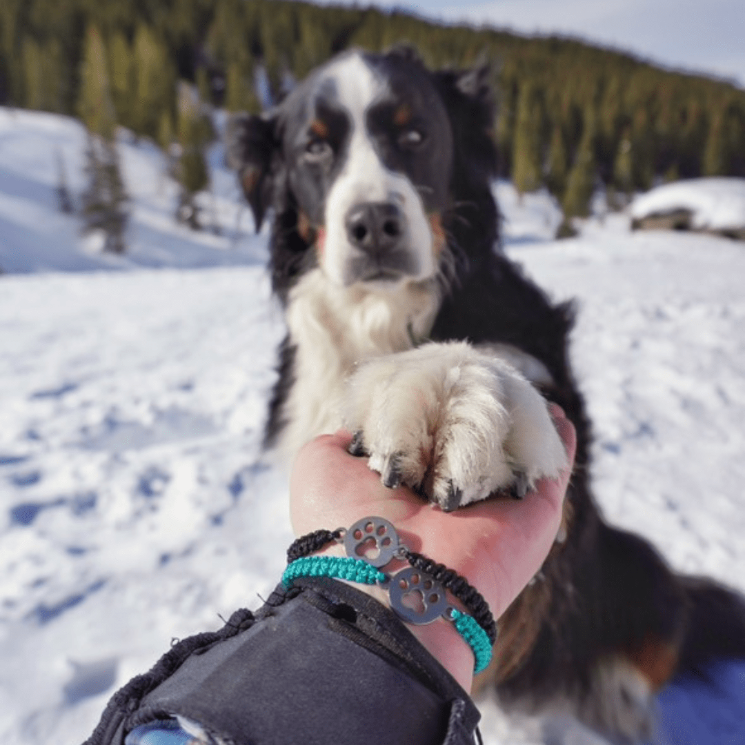 Paws For Hope Bracelet