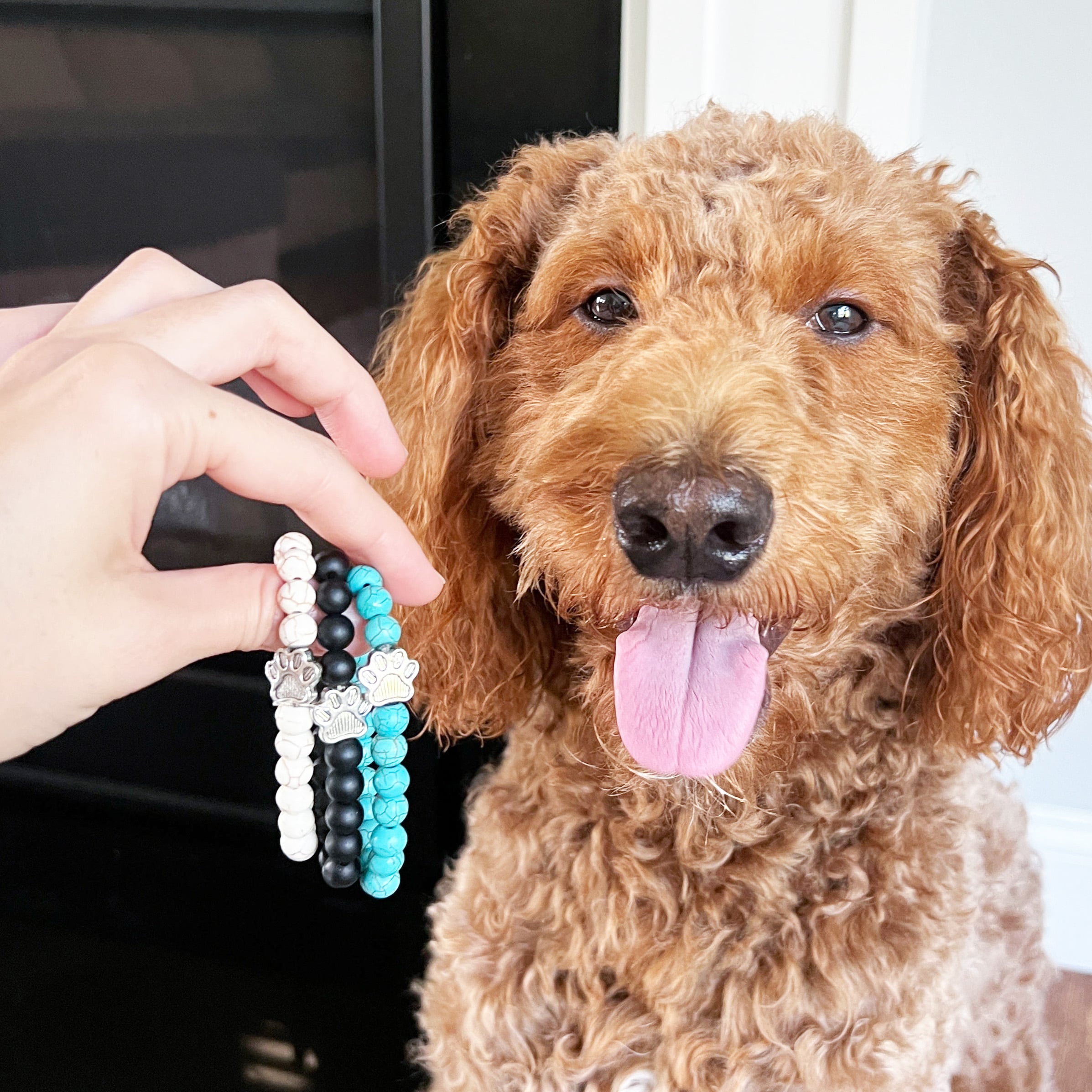 I Love ALL Dogs Bracelet™ (1 Bracelet = 5 Meals)